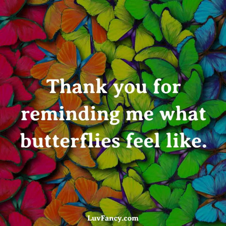 getting butterflies love quote